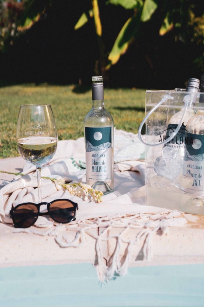 Andeluna Blanc de Malbec Un Vino para Celebrar la Versatilidad de la Cepa Argentina